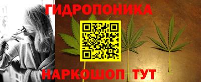прущие крисы Гай