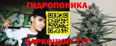 не бодяженный Гатчина