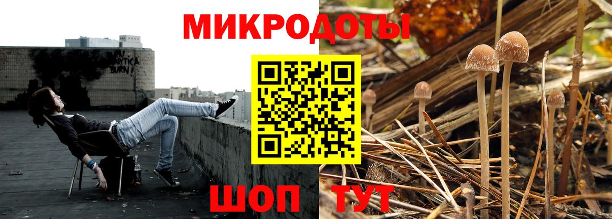 Псилоцибиновые грибы Cubensis Белорецк